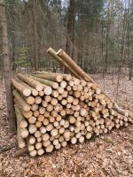 Holzstickel, Pfähle aus Fichte Baden-Württemberg - Mudau Vorschau