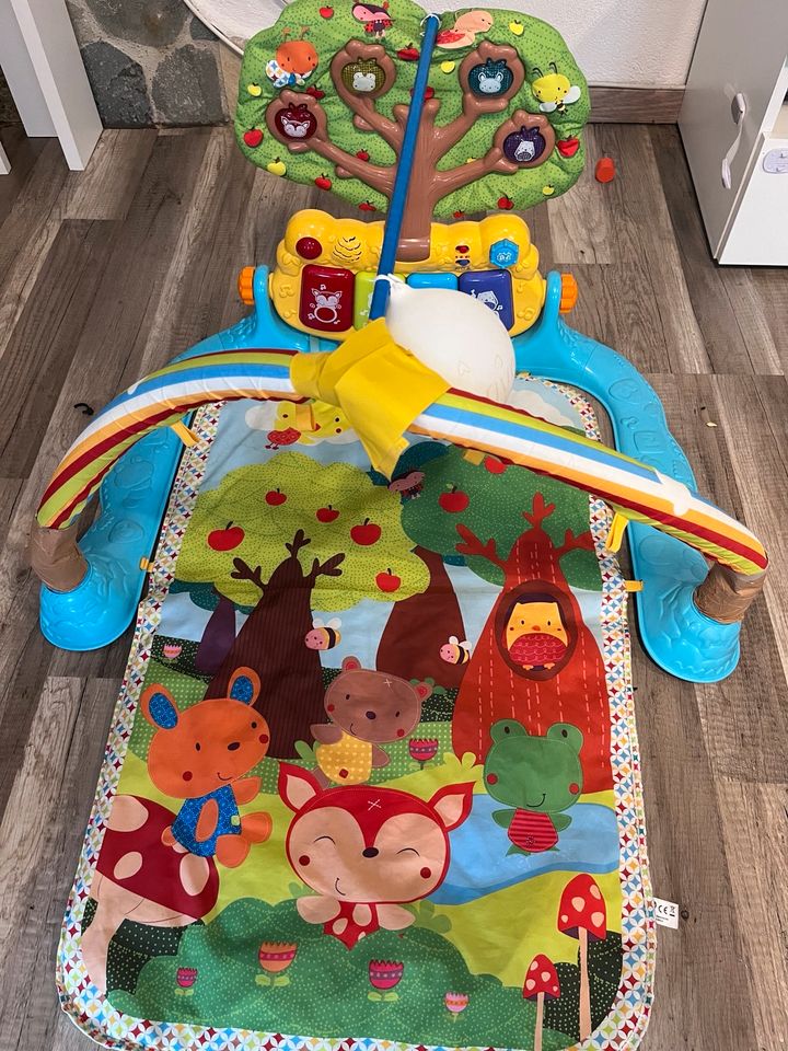 Spielbogen Baby Spielzeug Musik +Wassermatte in Neubulach