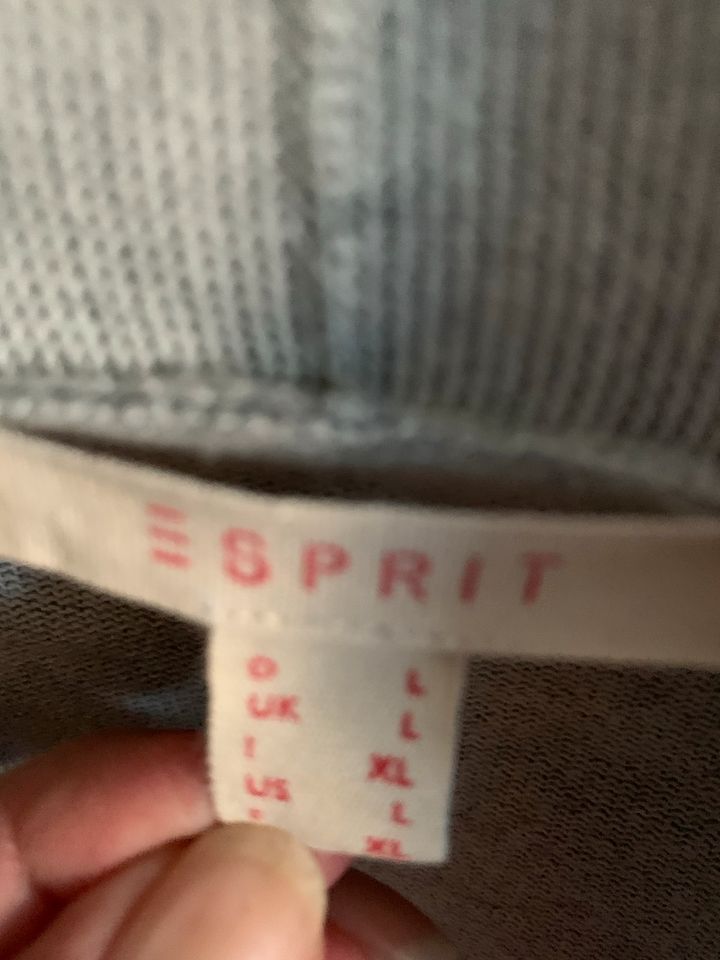 Esprit Strickjacke Cardigan Gr L in Sonnefeld