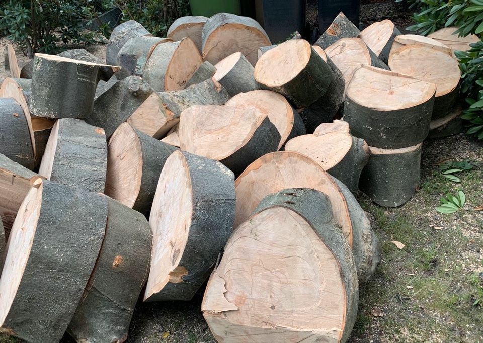 Buche Holz Feuerholz Buchenholz Kaminholz Brennholz in Hamburg