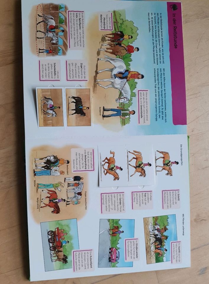 Buch "Pferde und Ponys" Mitmachbuch mit Klappen in Lauben