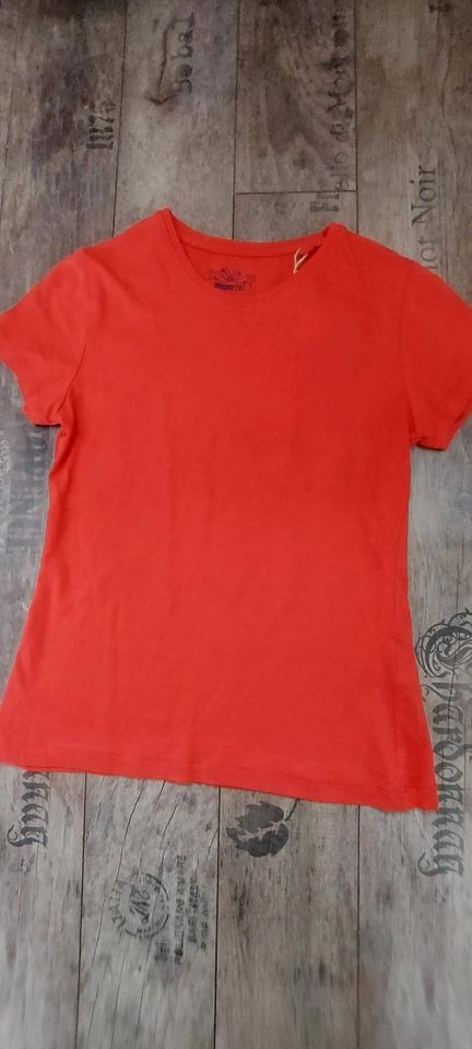 T-Shirts Gr.134/140 *Neu * in Querfurt
