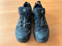 Salomon XA Pro 3D gtx Farbe schwarz Größe US 6,5 EUR 38 Baden-Württemberg - Ilsfeld Vorschau