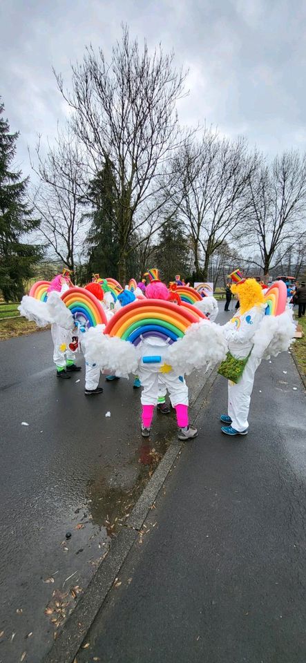 Gruppenkostüm Regenbogen in Bad Soden-Salmünster