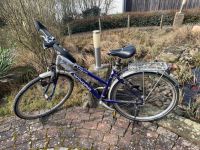 Fahrrad Damenrad, 28 er, Winora Hessen - Hünfeld Vorschau