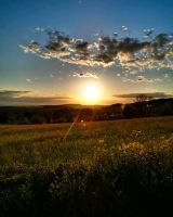 Suche Resthof mit Möglichkeit zur Pferdehaltung Niedersachsen - Herzberg am Harz Vorschau