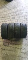 4x 225/45R17 91H Semperit Allwetterreifen inkl Montage Essen - Stoppenberg Vorschau