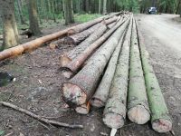 Feuerholz selbst Aufarbeiten; Brennholz / Kaminholz / Nadelholz Thüringen - Stadtroda Vorschau