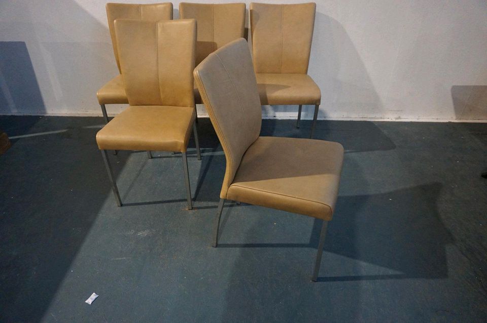 Sit Stuhl # 5er Set # Büffel Echtleder # beige # Massiv-Möbel in Alsfeld