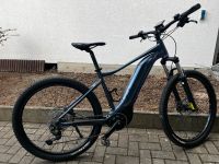 E Bike LIV (Gaint) Val E+ Thüringen - Saalburg-Ebersdorf Vorschau