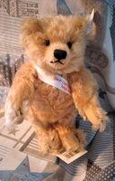 Steiff Club Treffen  Euskirchen 2000 Sonderedition alt Teddy Bär Wandsbek - Hamburg Hummelsbüttel  Vorschau