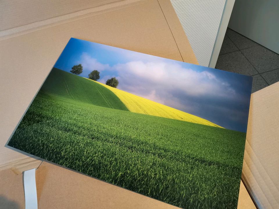 GalleryPrint Wandbild Acrylglas/Alu-Dibond in Kirchlengern