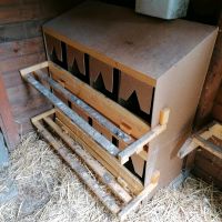 Legenester Legenest Huhn Hühner Stall Niedersachsen - Halle (Holzminden) Vorschau