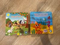 Kinderbücher je 1EUR Schleswig-Holstein - Revensdorf Vorschau