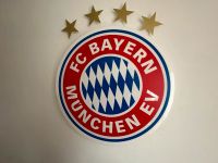 FC Bayern München Logo Bayern - Geisenfeld Vorschau