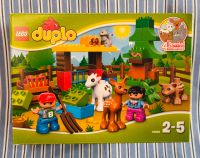 10582 Lego Duplo Wildtiere Wald Reh Eichhörnchen Wildschwein Zieg Sachsen - Taura Vorschau