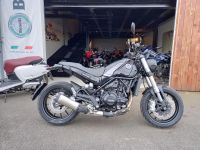 BENELLI LEONCINO 500 niedr. Sitzhöhe 770 mm 48 PS Naked Bike Thüringen - Berlstedt Vorschau