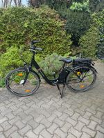 Zündapp Green 3.0 Alu City E-Bike 28er-2Akkus wenig gefahren Niedersachsen - Braunschweig Vorschau
