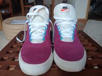 Nike Skateboarding, Größe 42,5, weinrot Bayern - Lenggries Vorschau