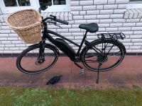 E-Bike Herren Rad Niedersachsen - Bockhorst Hümmling Vorschau