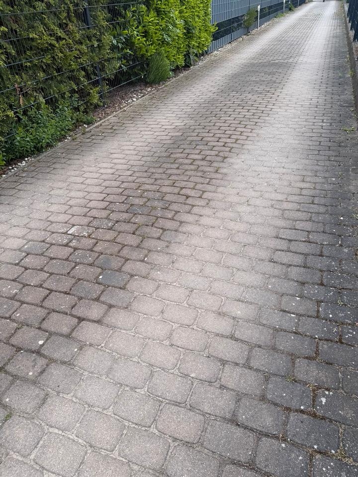 Hilfe für Gartenarbeiten gesucht Unkraut & Beete in SachsenAnhalt