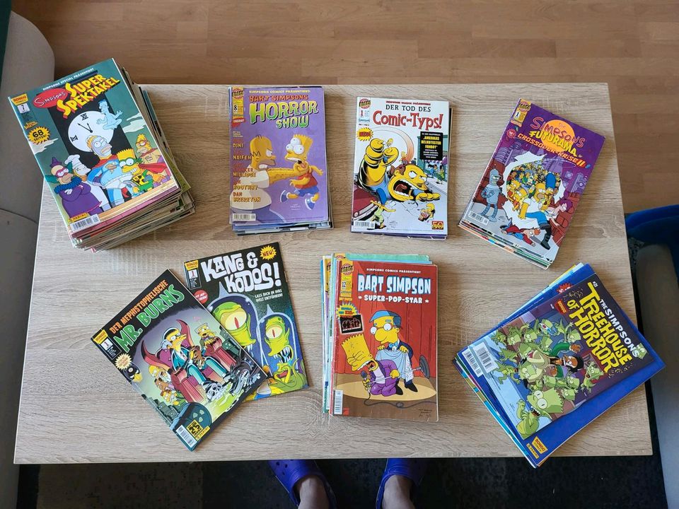 Comics Sammlung in Lütjenburg