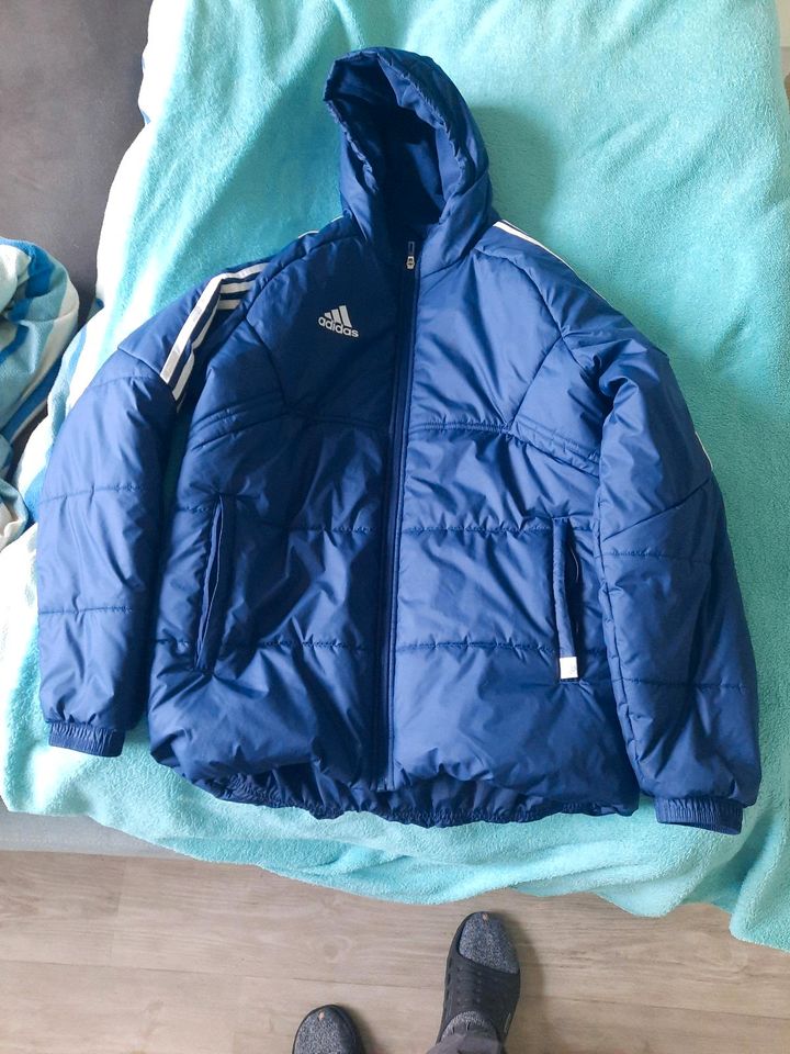 Warme Adidas Jacke in Dresden