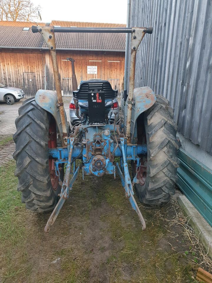 Fordson Super Major Oldtimer Traktor Schlepper in Ammerbuch