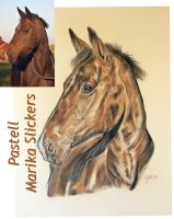 Pferdeportrait Tierporträt Pferd Auftragsmalerei Geschenk Wunsch Nordrhein-Westfalen - Kevelaer Vorschau