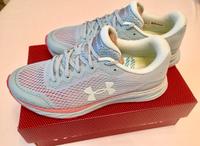 UNDER ARMOUR HVOR, Velociti Trail, Damen Laufschuhe, Gr.40-NEU❗️ Bayern - Lauf a.d. Pegnitz Vorschau