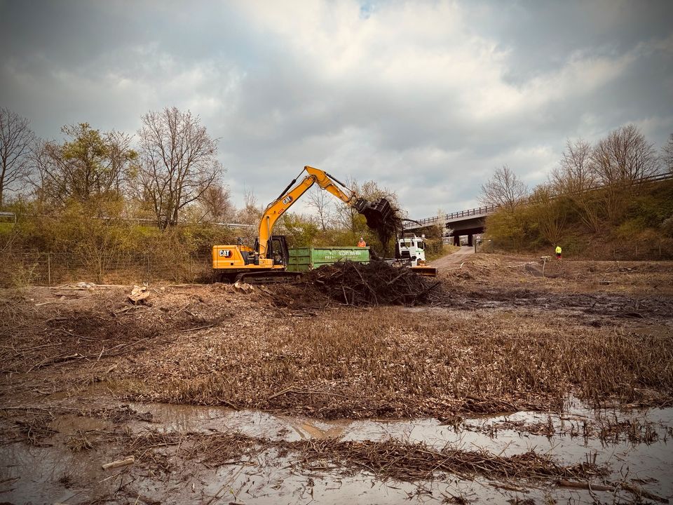 Rodung / Baufeldräumung / Häckselarbeiten / Mulcharbeiten in Marienheide