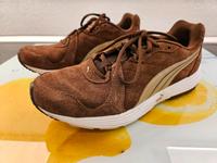 Puma Running Shoe Descendant V2 Kr. Altötting - Burghausen Vorschau