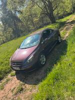 Peugeot 307CC Hessen - Großalmerode Vorschau