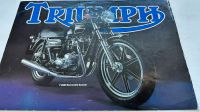 Triumph Prospekt 1979 Rostock - Hansaviertel Vorschau