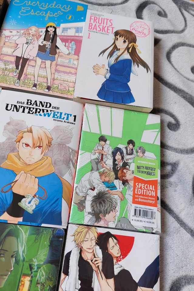 Manga Comics Yaoi Twilight Fruits Basket Großformate je 5€ in Neuendettelsau