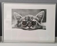 3 Bilder "Katzen", von David McEnery Berlin - Lichtenberg Vorschau