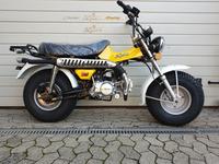 Skyteam T-Rex 125cc Euro 5 Einspritzung Hessen - Schöneck Vorschau