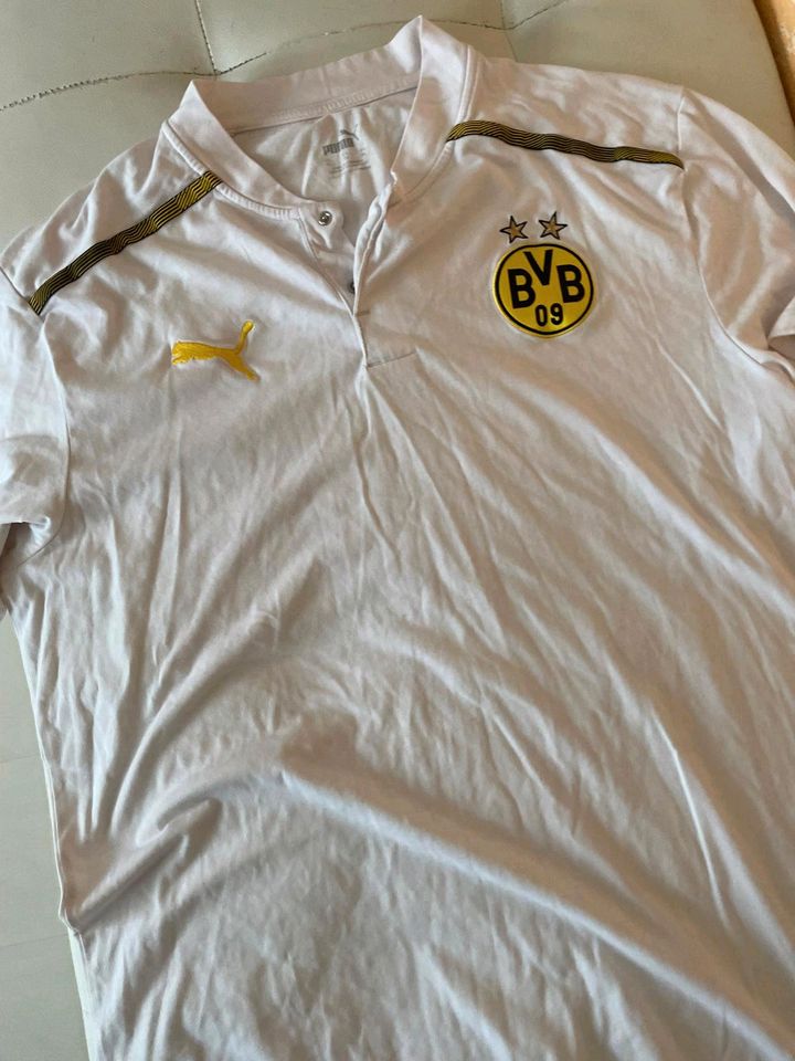 Sehr schönen Puma BVB Dortmund T-Shirt. Xl in Raunheim