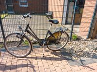 Gazelle Fahrrad Nordrhein-Westfalen - Kempen Vorschau