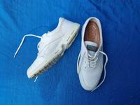 Ecco Sneaker Leder Antischock weiß Gr. 39 München - Bogenhausen Vorschau