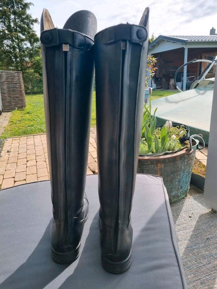 Neue Lederreitstiefel von Waldhausen ELT in Warmsen