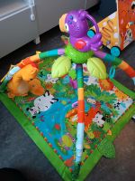 Erlebnisdecke Fisher Price Nürnberg (Mittelfr) - Mitte Vorschau