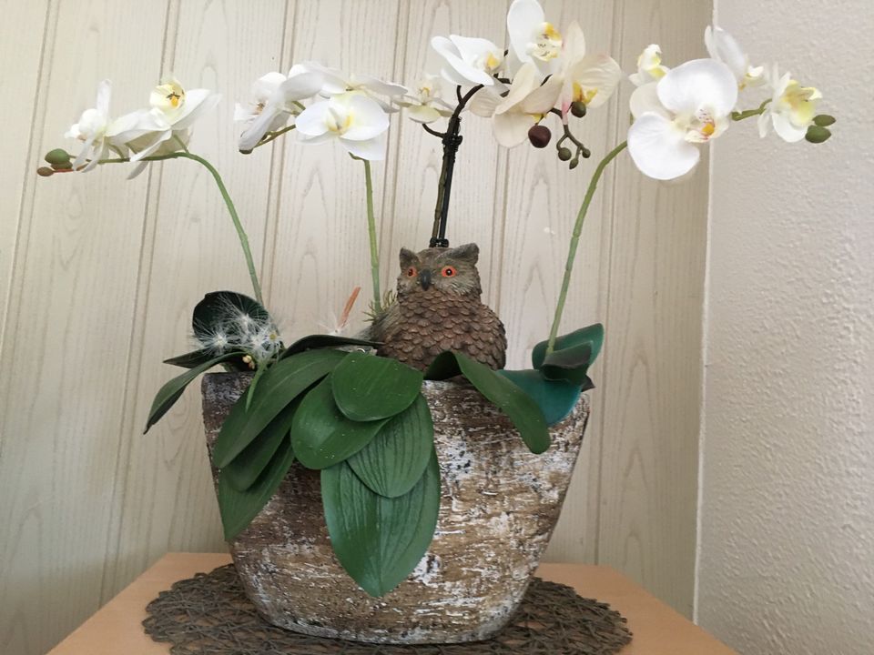 Textile Orchidee im dekorativen Natursteintopf mit Eule in Ingolstadt