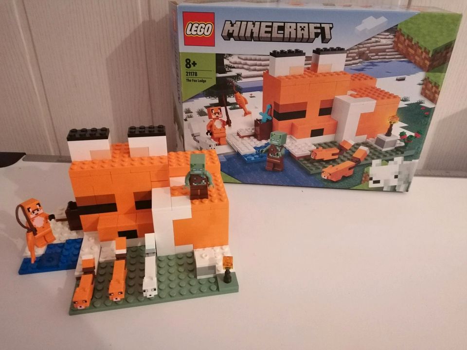 Lego Minecraft 21178 in Wahlstedt