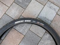2 MAXXIS Ardent Race 29zoll Reifen sehr gut, auch einzeln Oppenheim - Köngernheim Vorschau