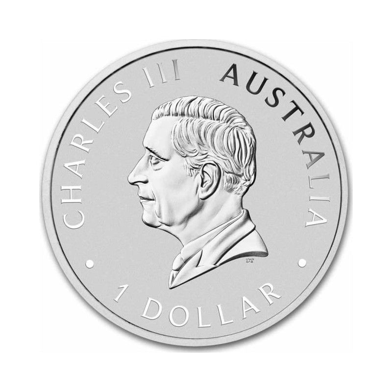 Perth Mint Australien Schwan 2024 1 oz 999 Silbermünze Silber (8) in Fürstenau