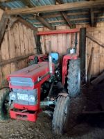 Massey Ferguson 133 Hessen - Frankenau Vorschau