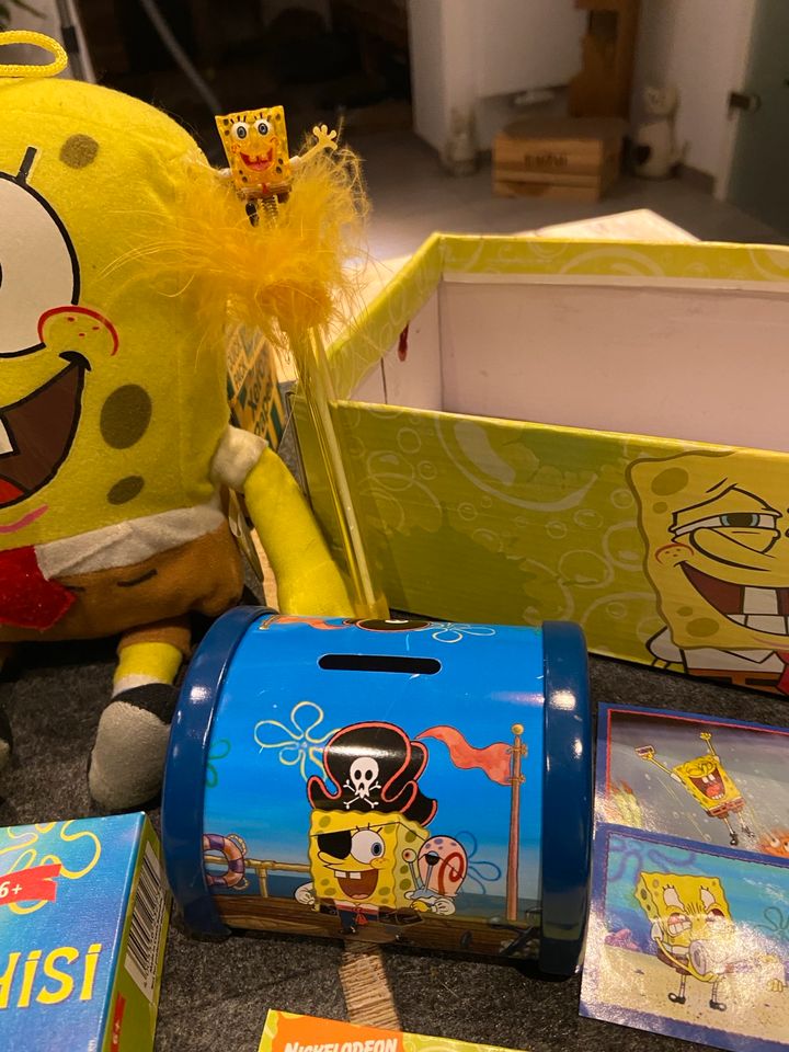 Spongebob Sammlung in Ruppichteroth