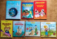 Kinderbücher, Conni, Kokosnuss, Eiskönigin, Walt Disney Brandenburg - Fürstenberg/Havel Vorschau