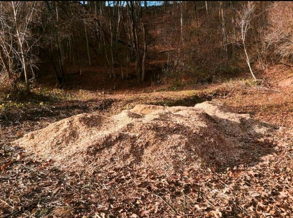 Rindenmulch, Hackschnitzel, Holzchips von Laubbäumen - Garten - in Gera